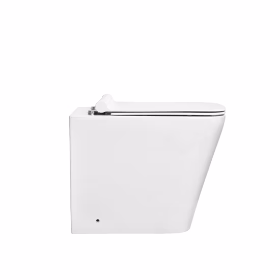 Inodoro económico del inodoro del lavabo del bidé de las mercancías sanitarias del cuarto de baño del hotel
